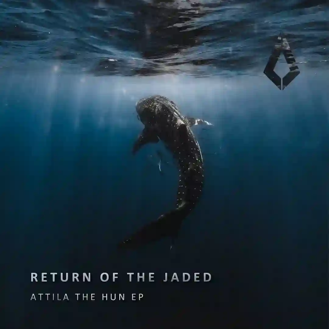 The Hun (Extended Mix) cover