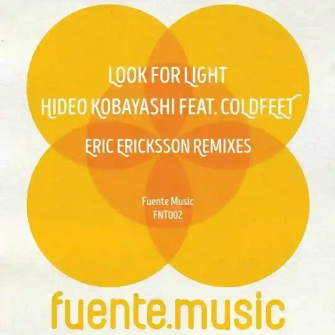 Look For Light (Eric Ericksson Dub) cover