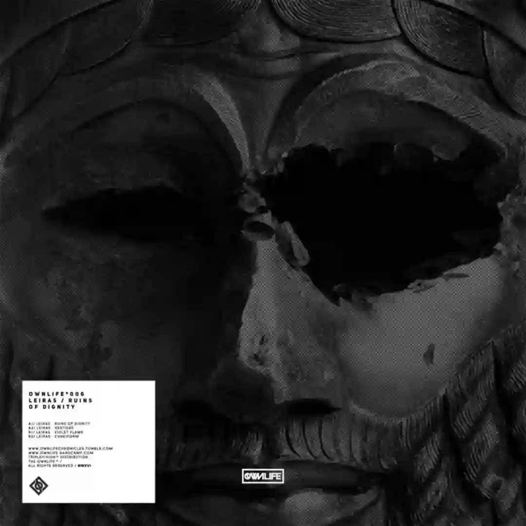 Ruins Of Dignity cover