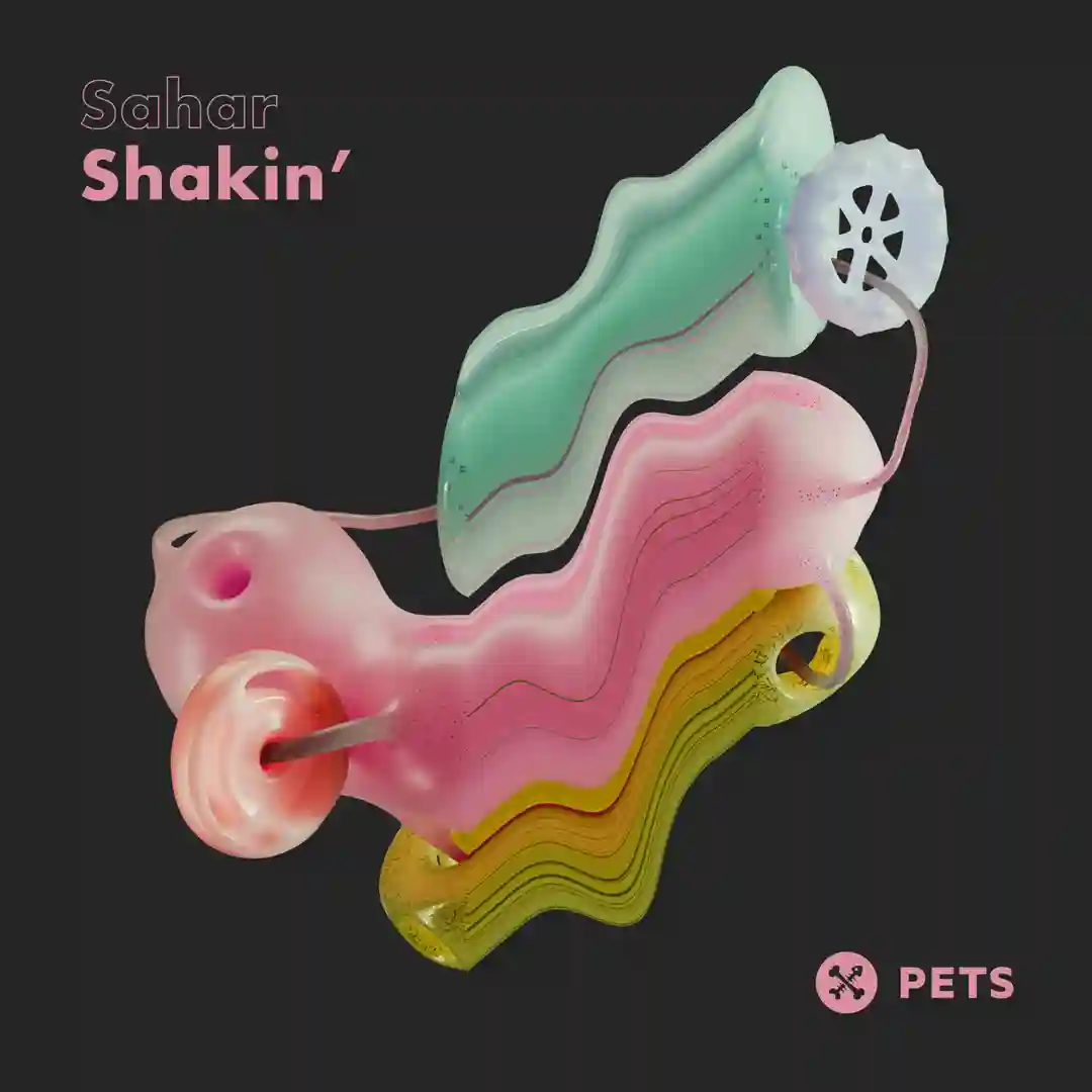 Shakin' EP cover