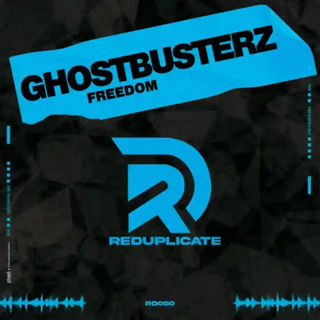Freedom (Nu Disco Mix) cover