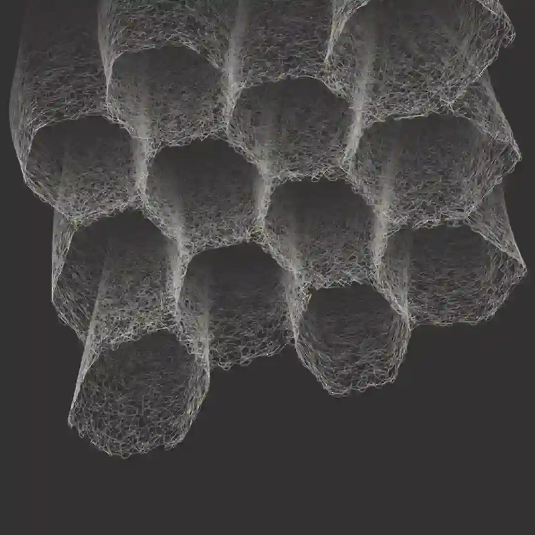 Social Interference cover
