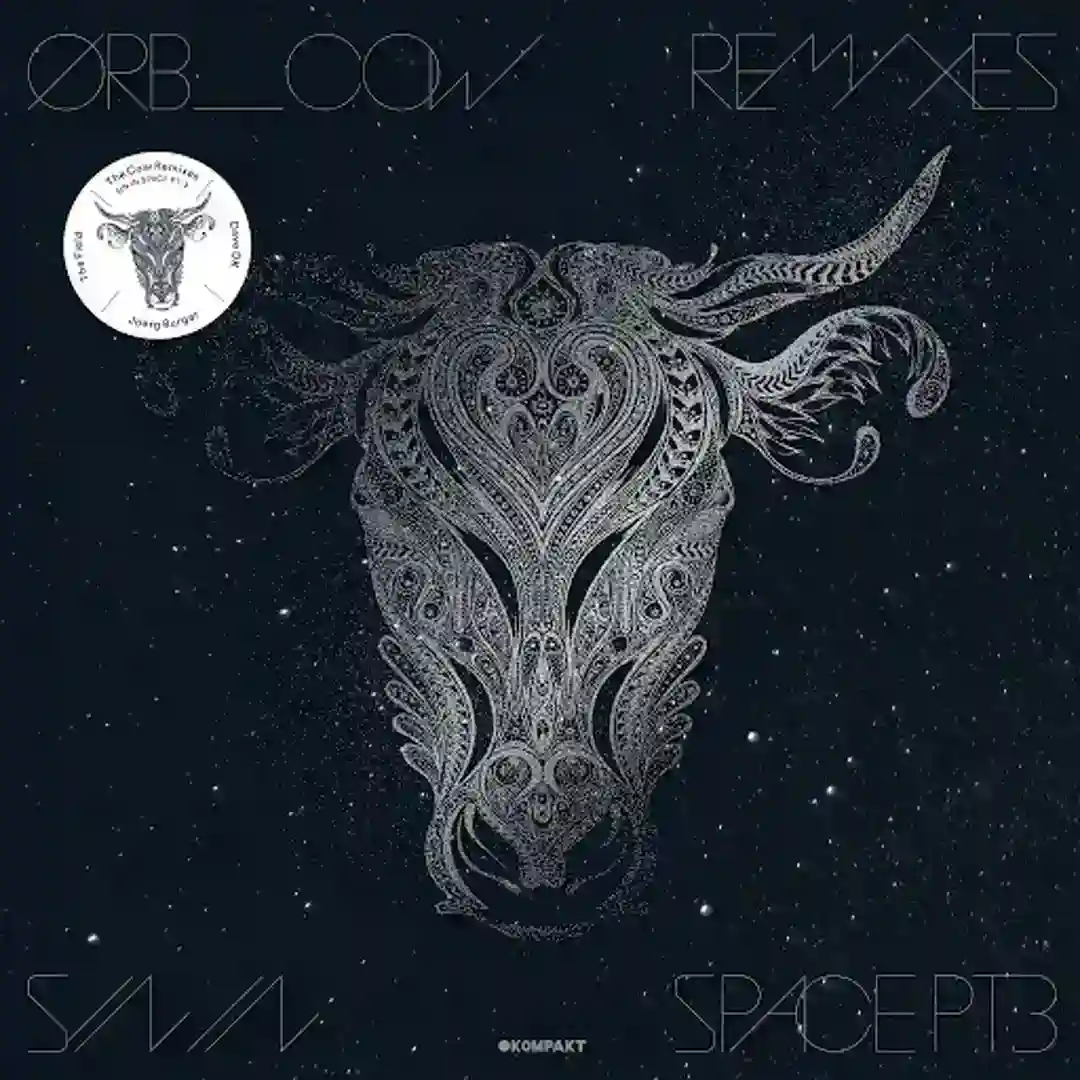 5th Dimensions (Jörg Burger Dschungeloper Mix) cover