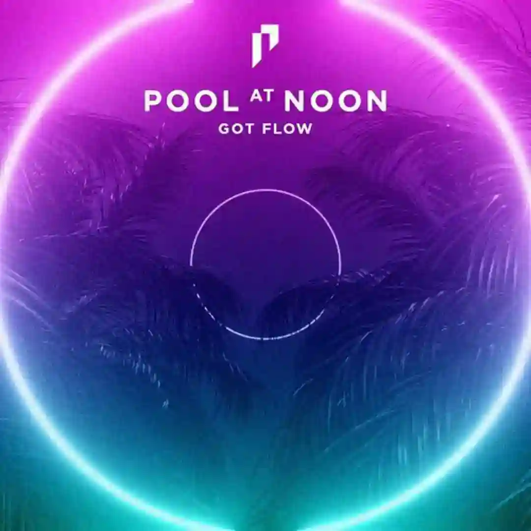 Got Nobody cover
