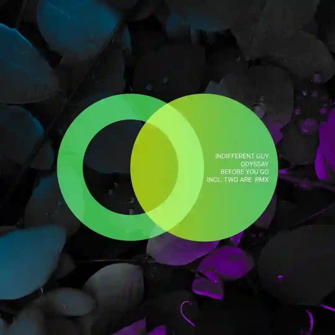 Before You Go (Two Are Remix) cover