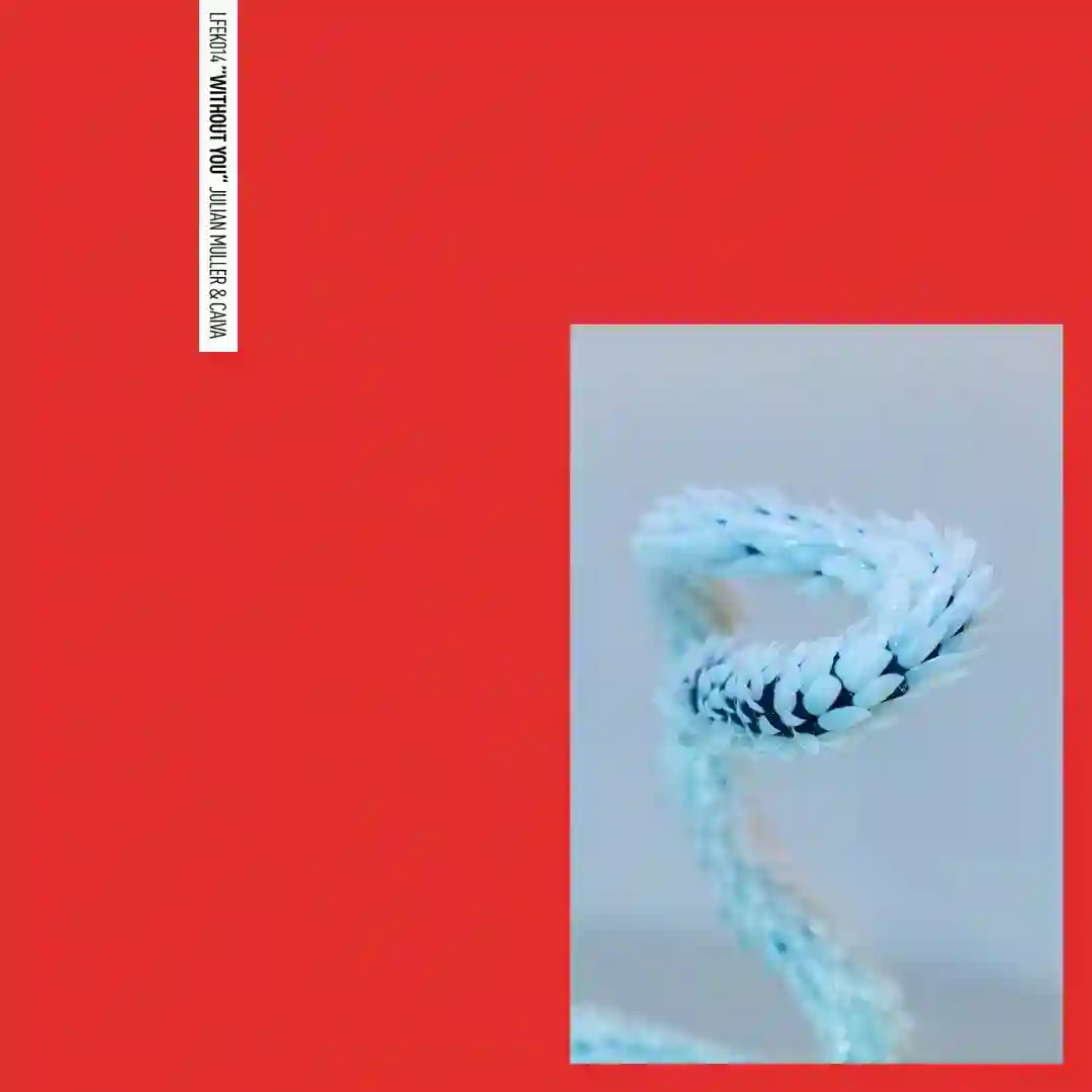 Without You cover