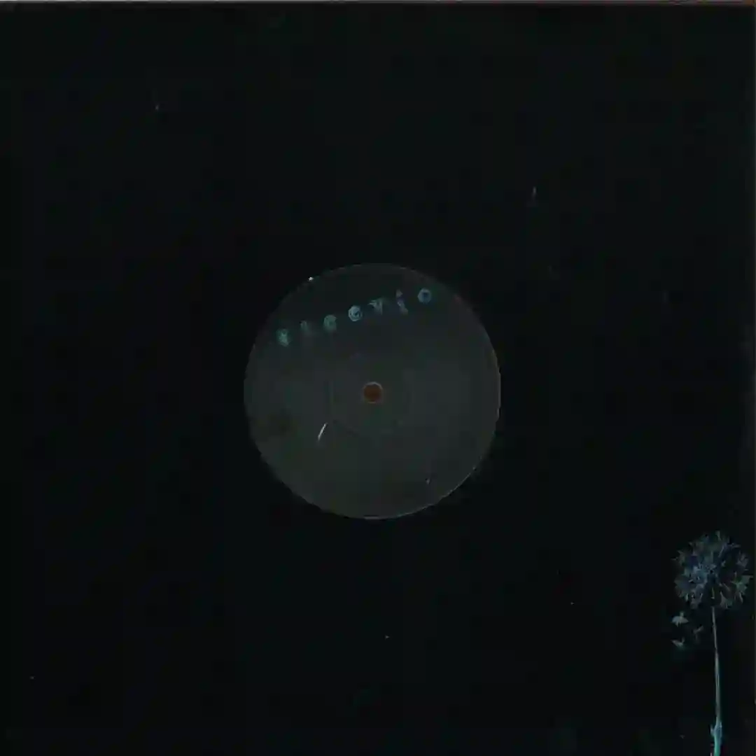 Taro cover