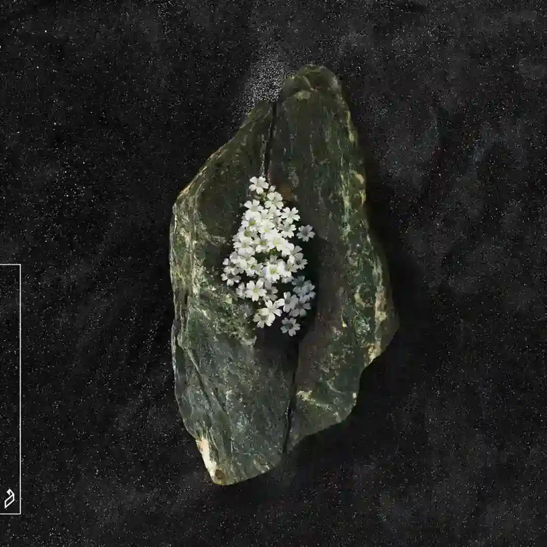 Lonely River (P.O.S & anamē Extended Mix) cover