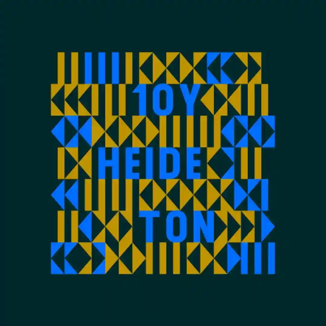 Disconnection (Tiger Stripes Remix) cover