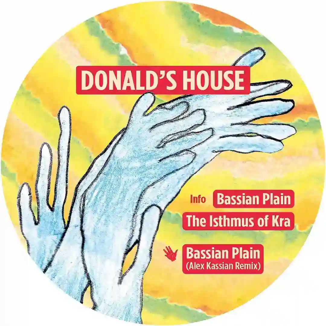 Bassian Plain (Alex Kassian Remix) cover