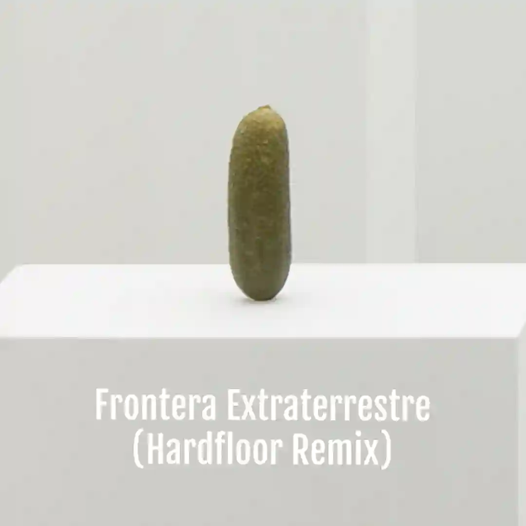 Frontera Extraterrestre (Hardfloor Remix) cover