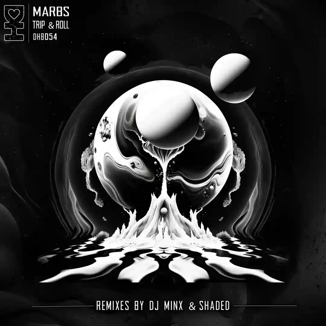 Trip & Roll (Original Mix) cover