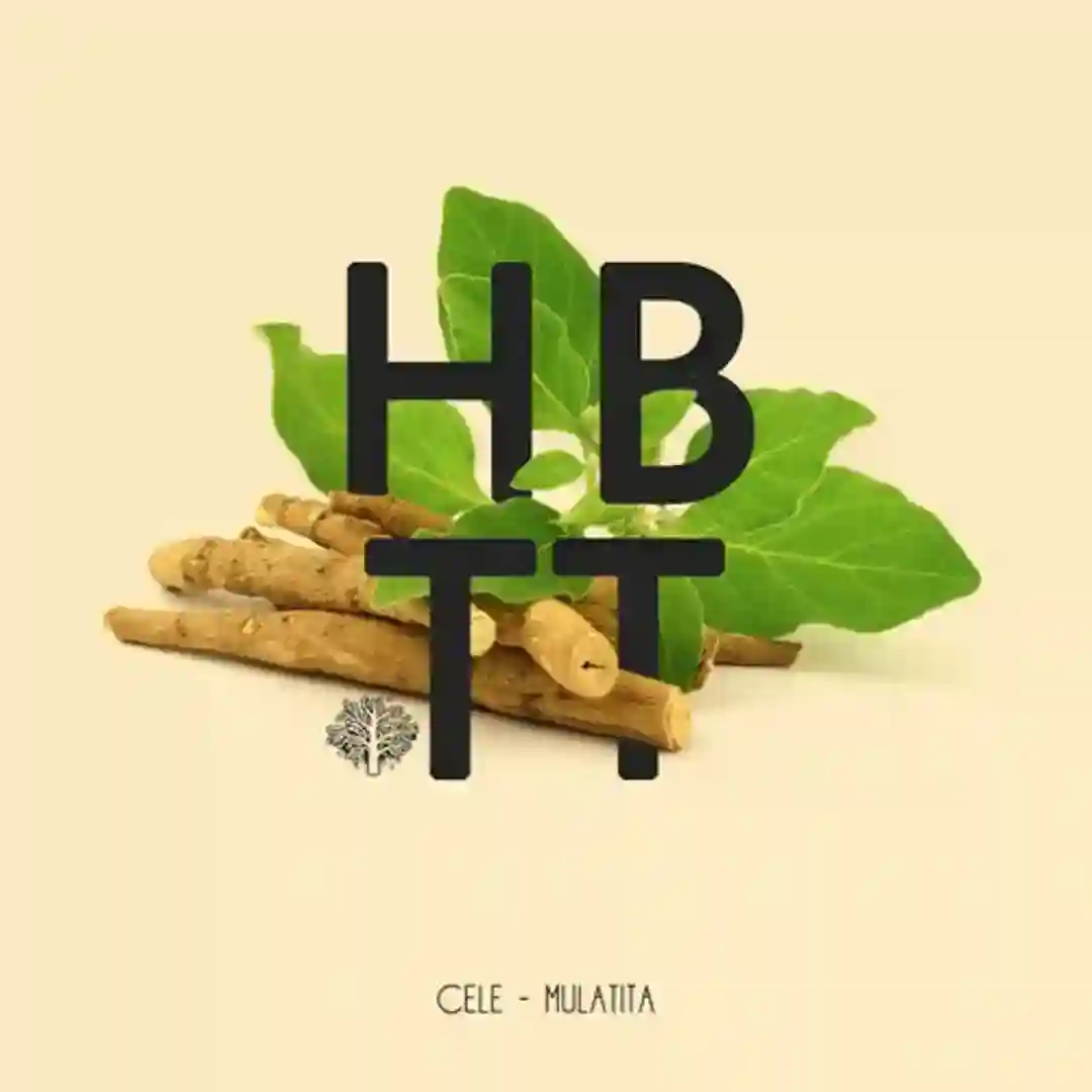 Mulatita cover