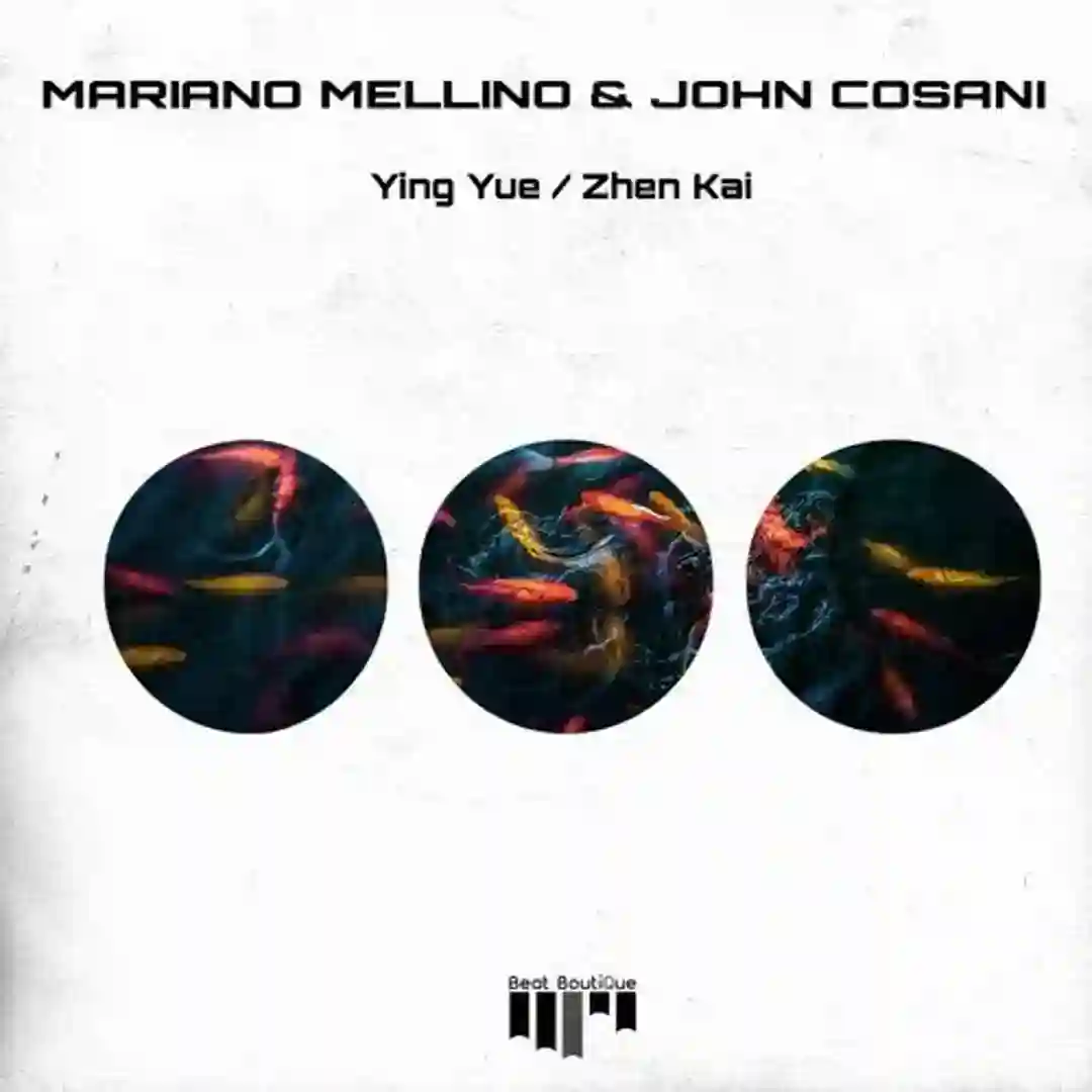 Zhen Kai (Original Mix) cover