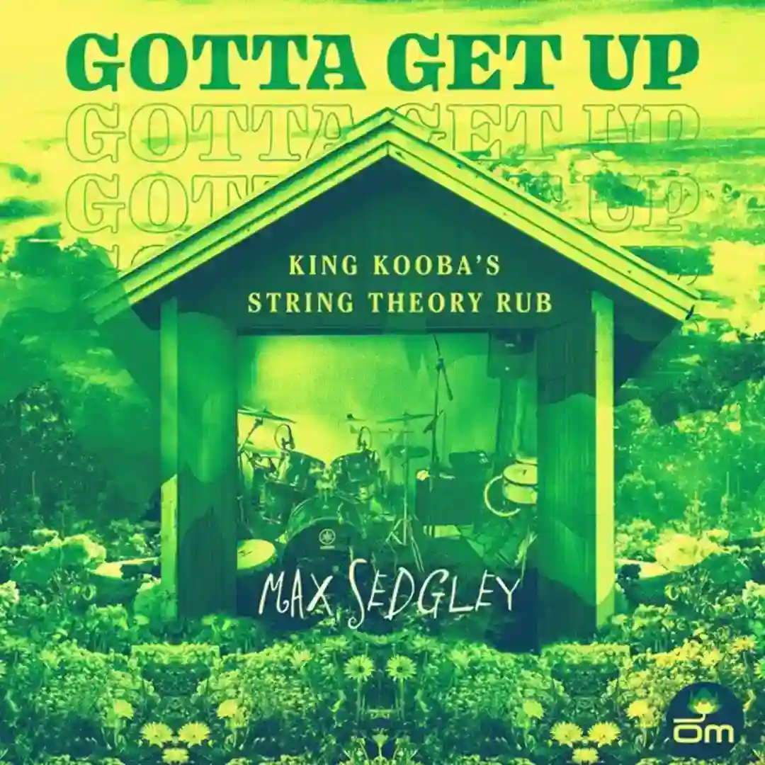 Gotta Get Up (King Kooba's String Theory Rub) cover