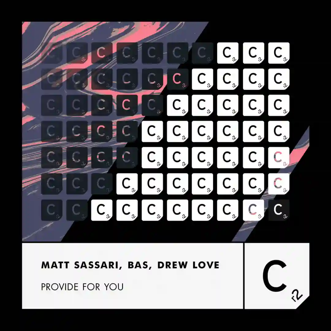 Provide For You (Extended Mix) cover