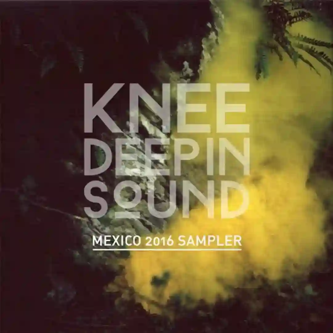 Mexico 2016 Sampler cover