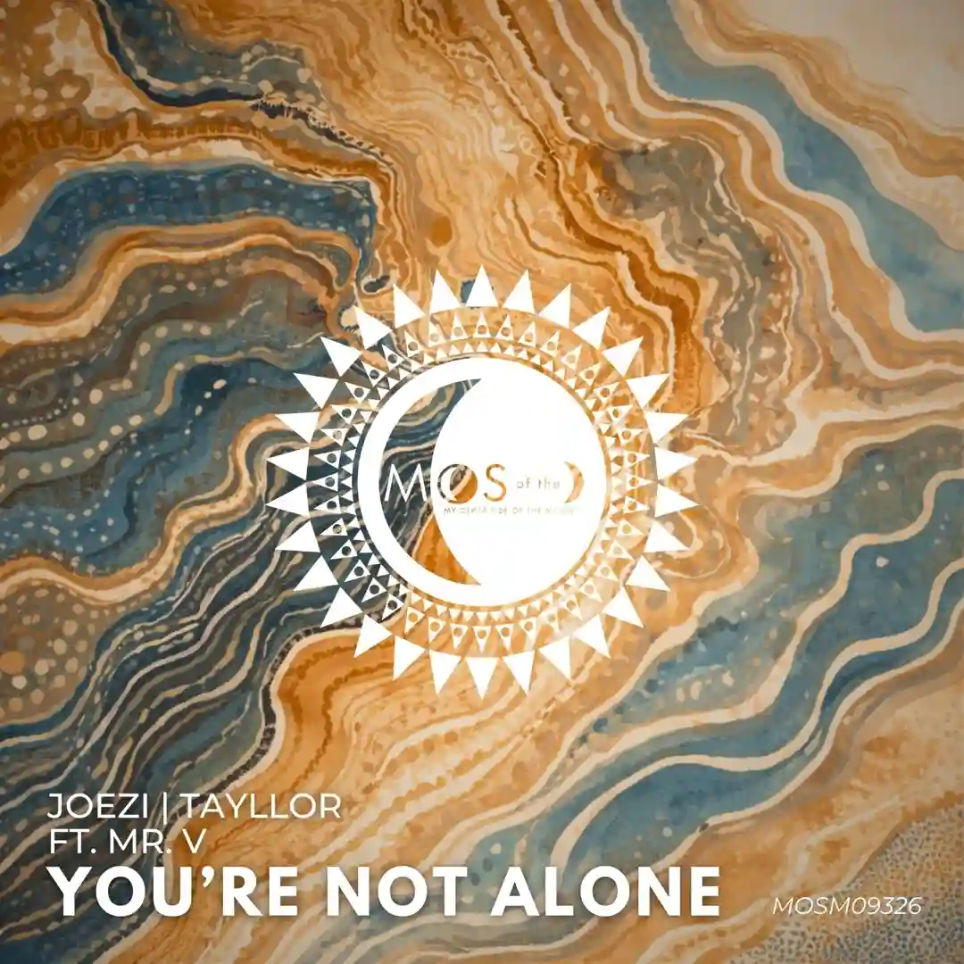 You're Not Alone cover