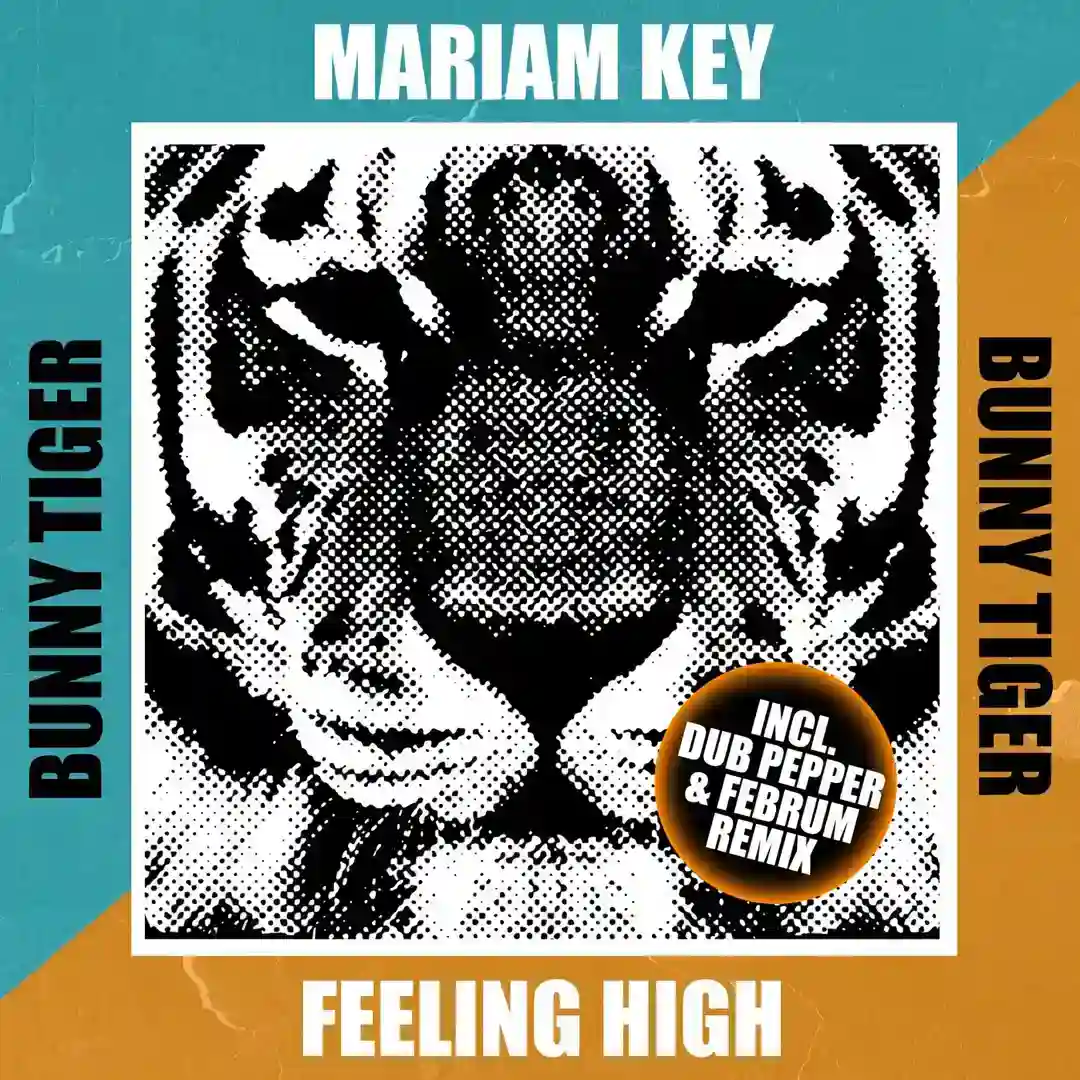 Feeling High (Original Mix) cover