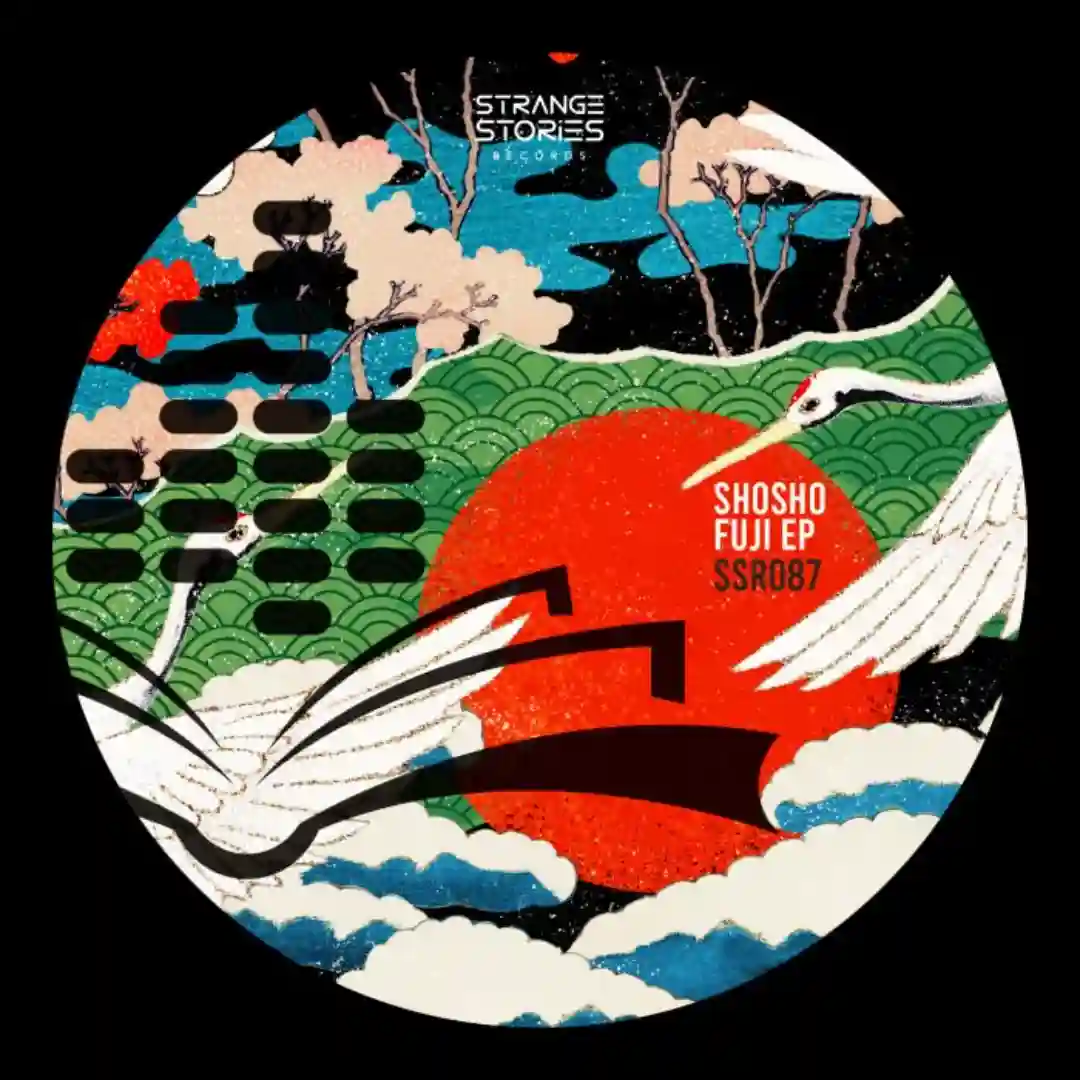 Biz Space (Original Mix) cover