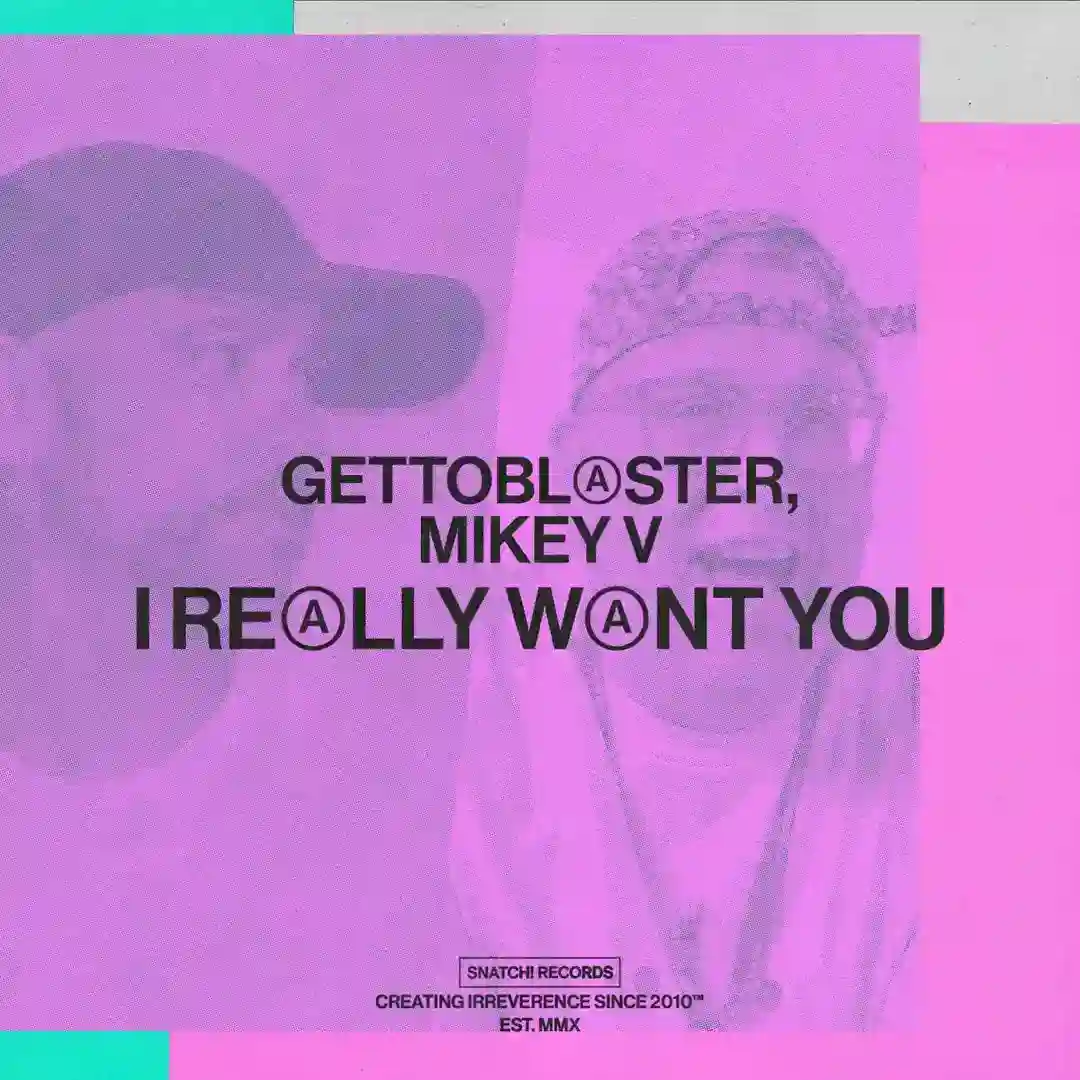 I Really Want You (Hilit Kolet Extended Remix) cover