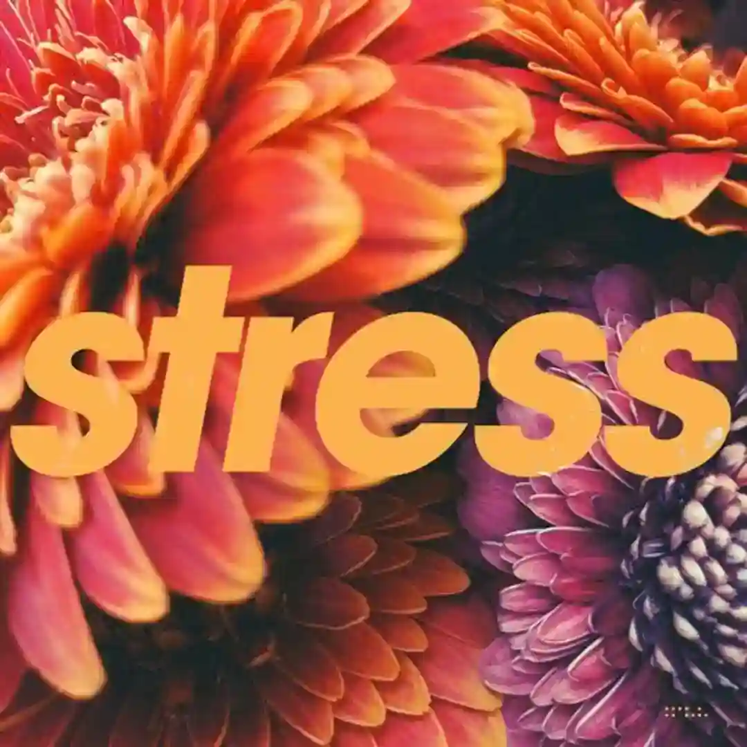 No Stress feat. Saint Sinner (Original Mix) cover