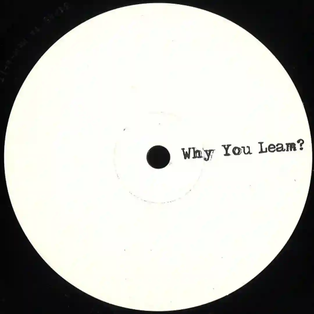 Why You Leam? cover