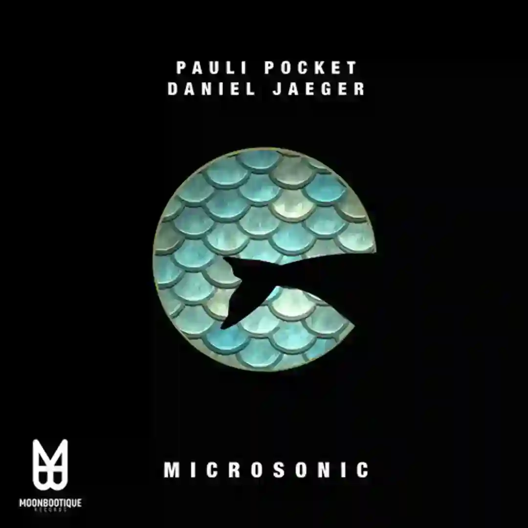 Microsonic cover