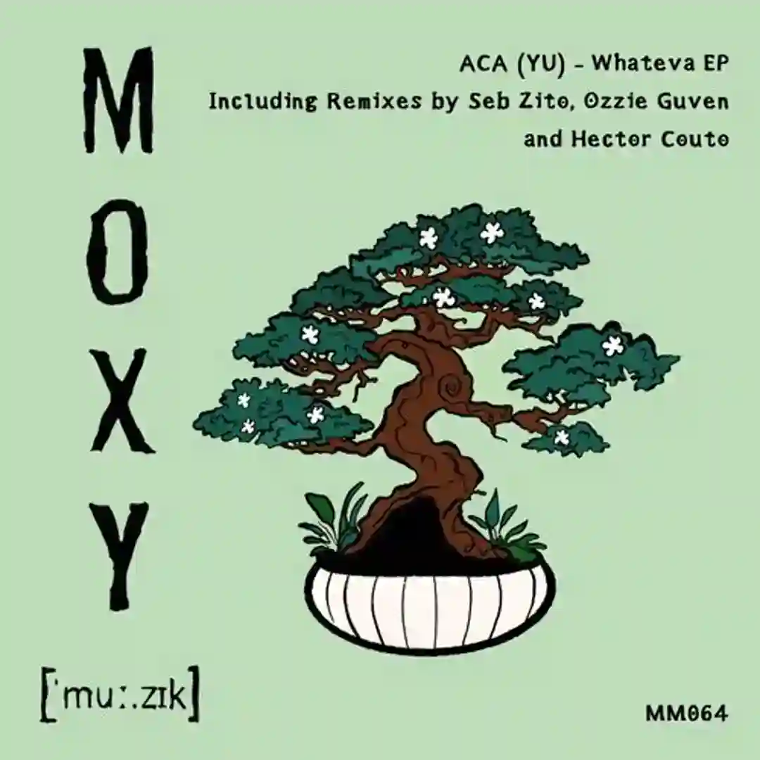 Da Hows (Hector Couto Remix) cover