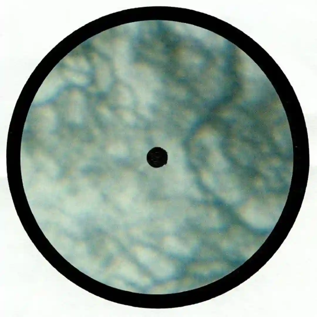 Looped-Up cover