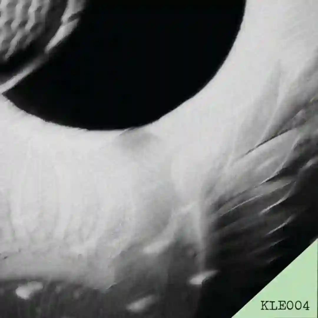 Never Thought cover