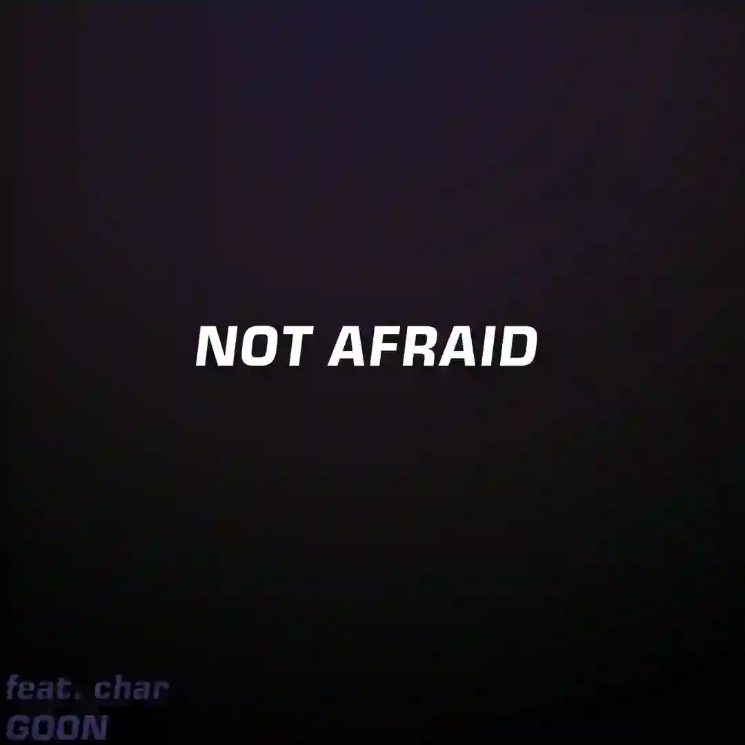 Not Afraid (feat. char) cover