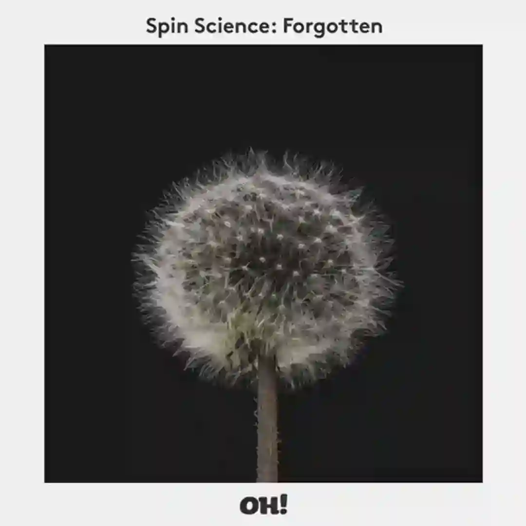 Forgotten (Original Mix) cover