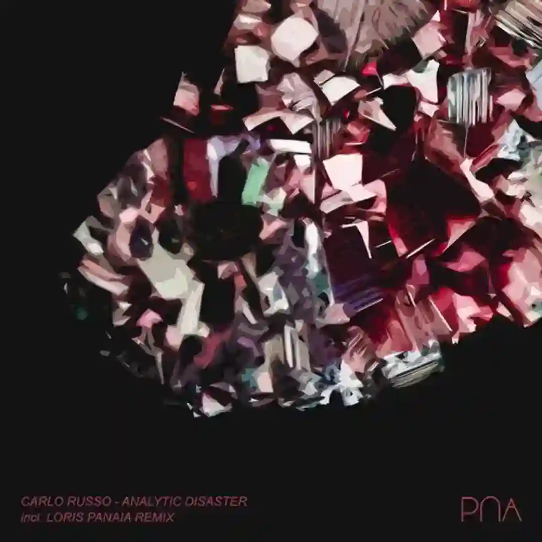 Analytic Disaster (Loris Panaia Remix) cover