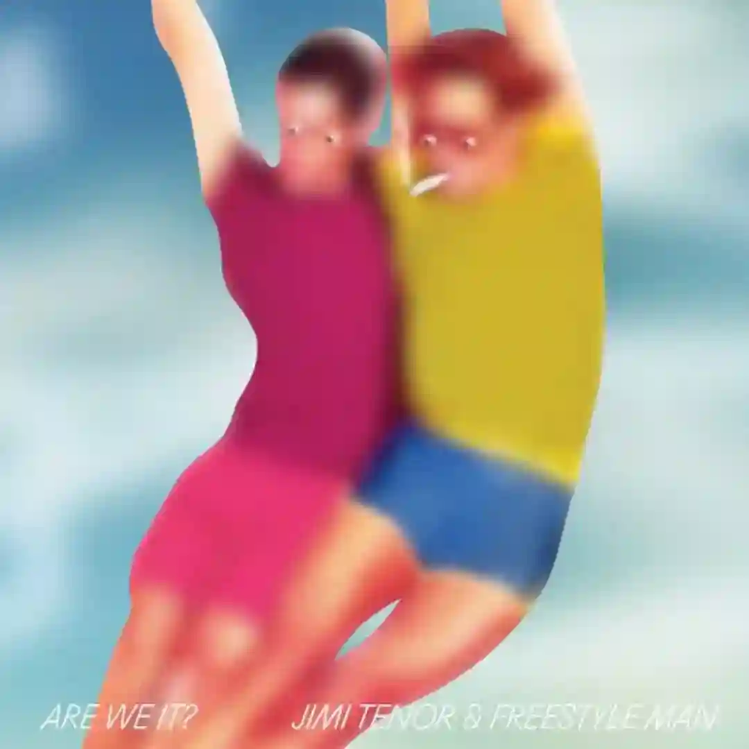 Are We It? cover