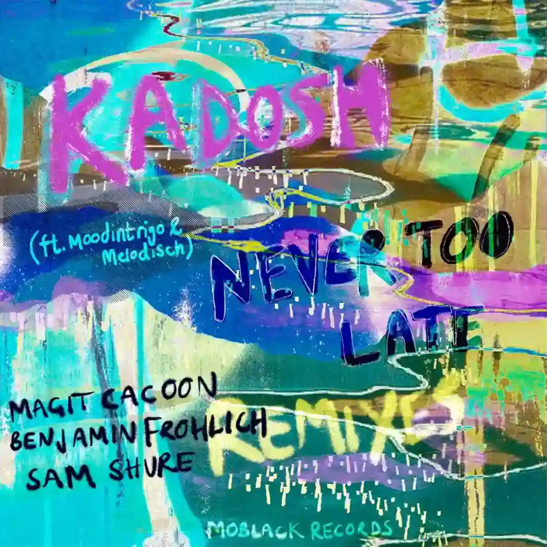 Never Too Late (Benjamin Fröhlich Remix) cover