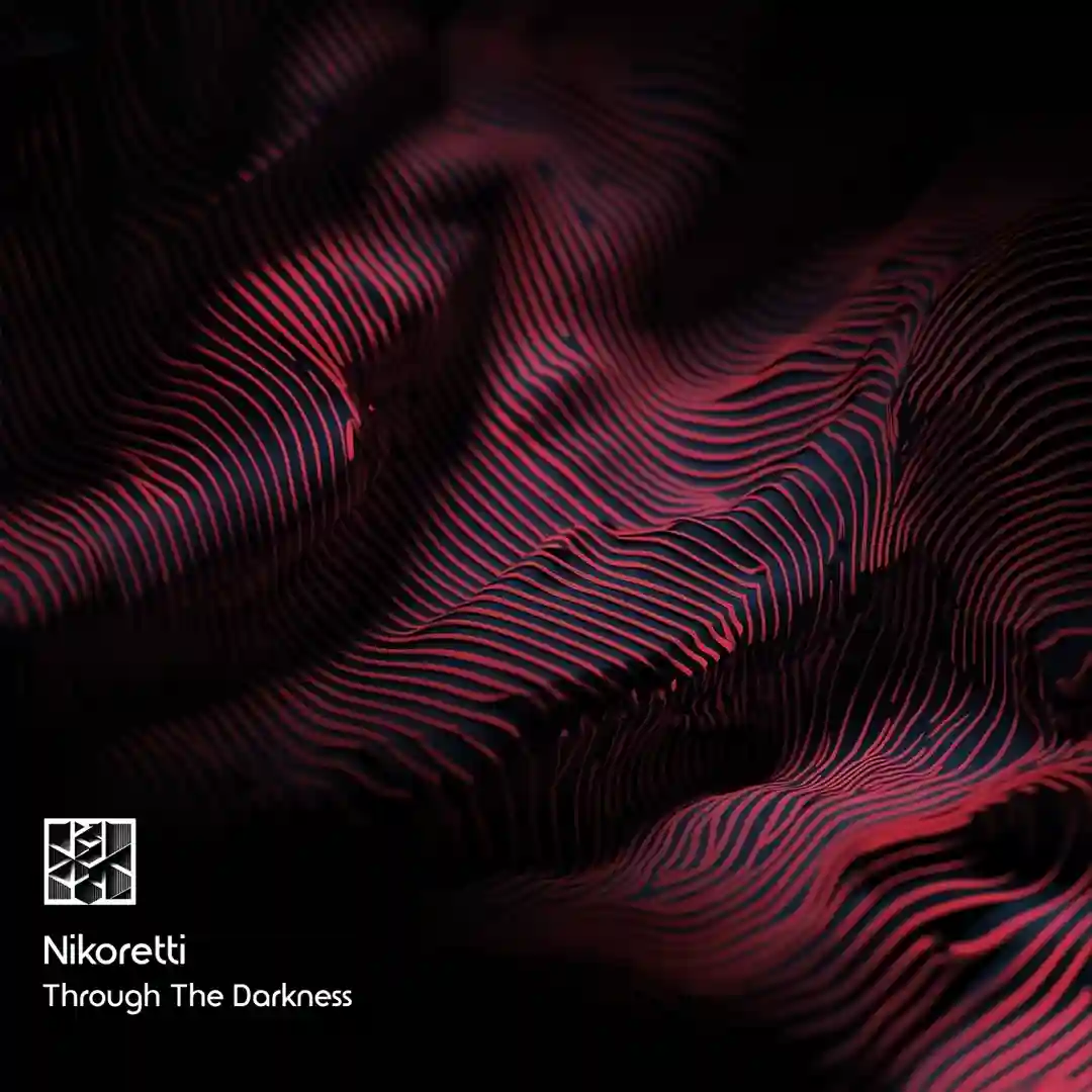 Through the Darkness (Original Mix) cover