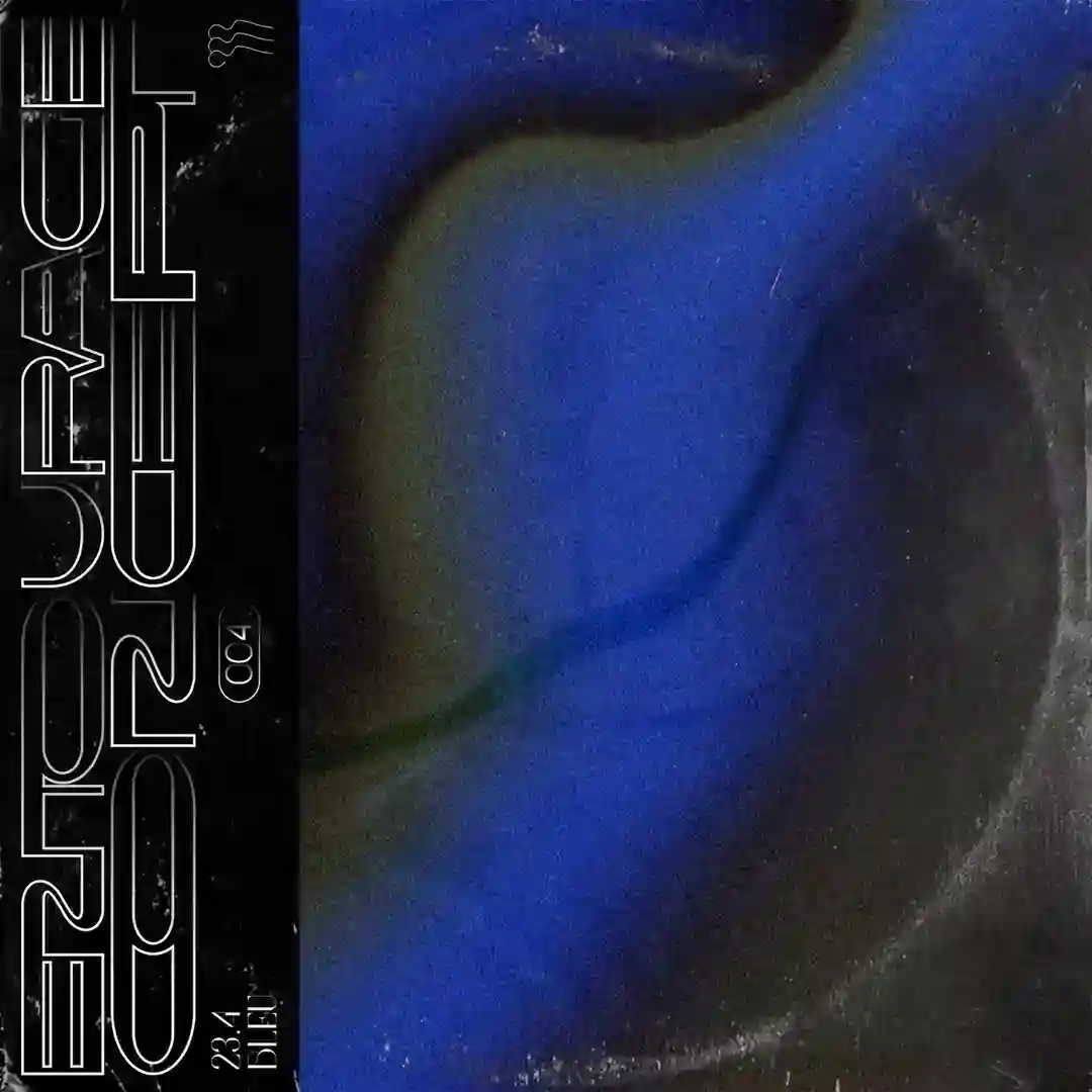 Raw Dub Technique cover
