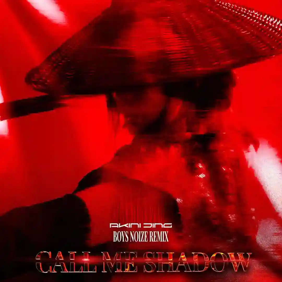 Call Me Shadow (Boys Noize Remix) cover