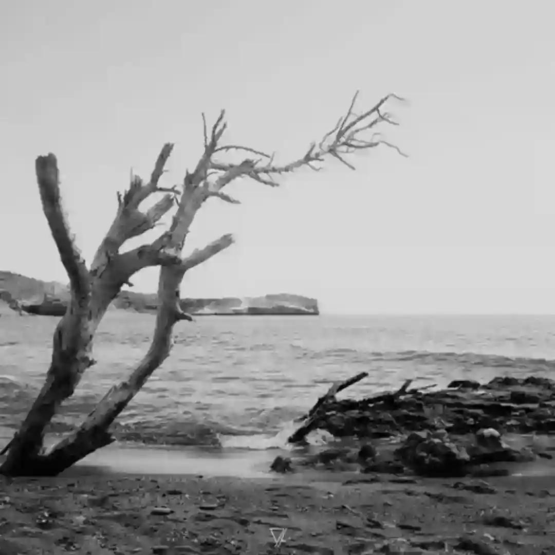 Goodchild (Original Mix) cover