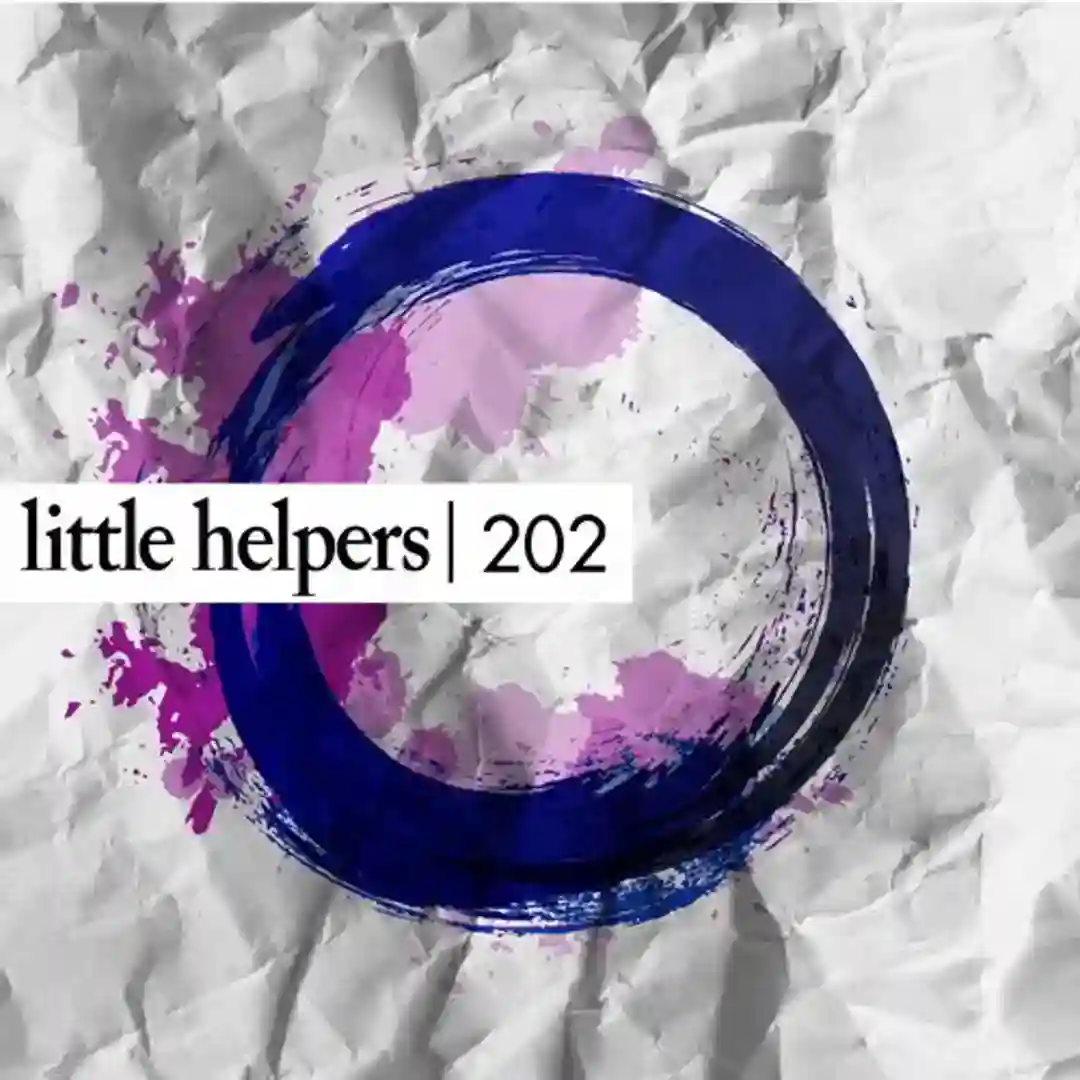 Little Helper 202-5 (Original Mix) cover