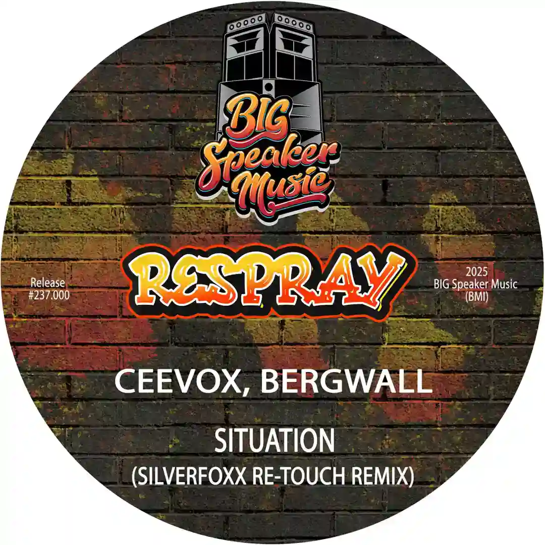 Situation (DJ Silverfoxx Re-Touch Remix) cover