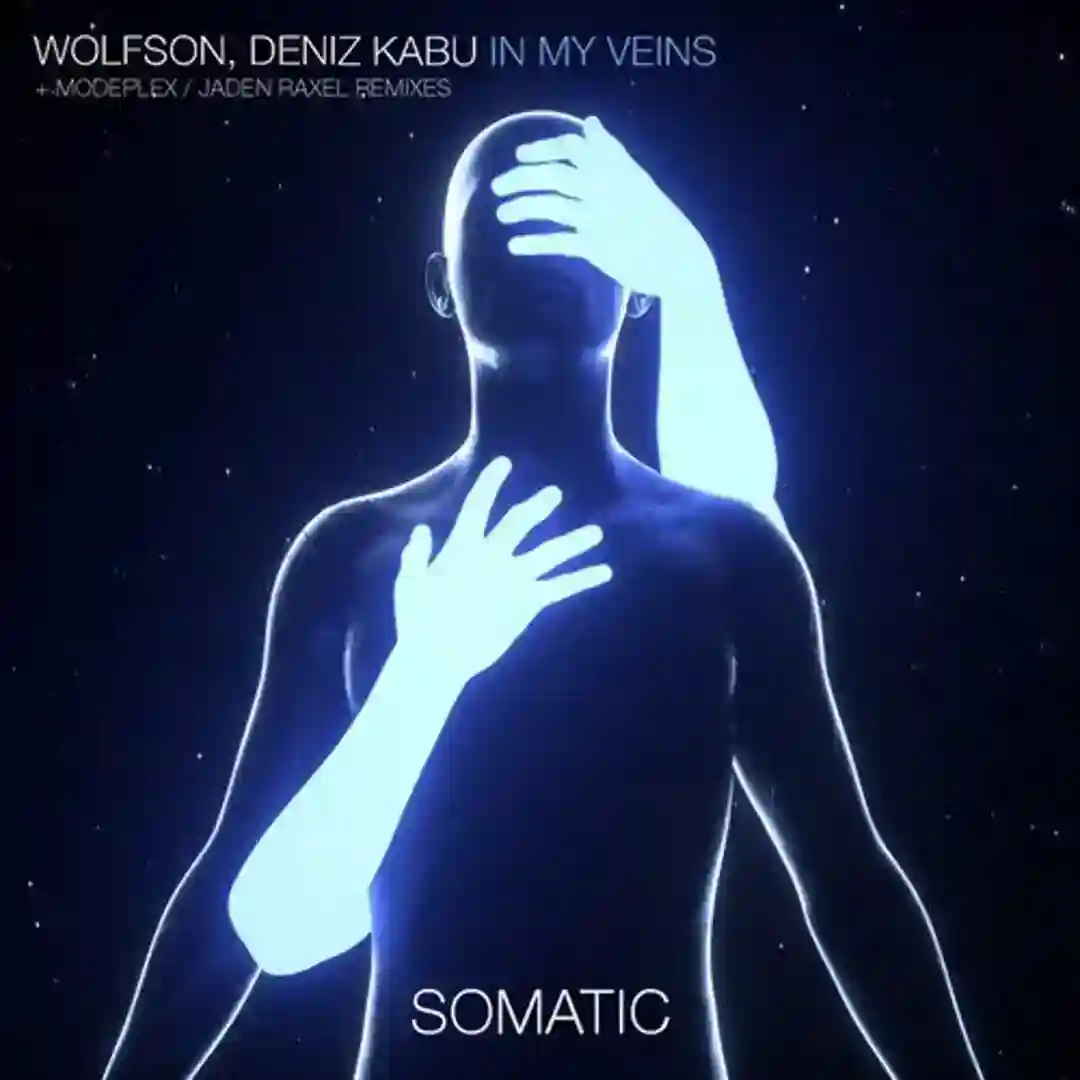 In My Veins (Modeplex Remix) cover