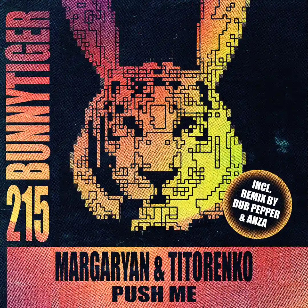 Push Me (Dub Pepper, Anza Remix) cover
