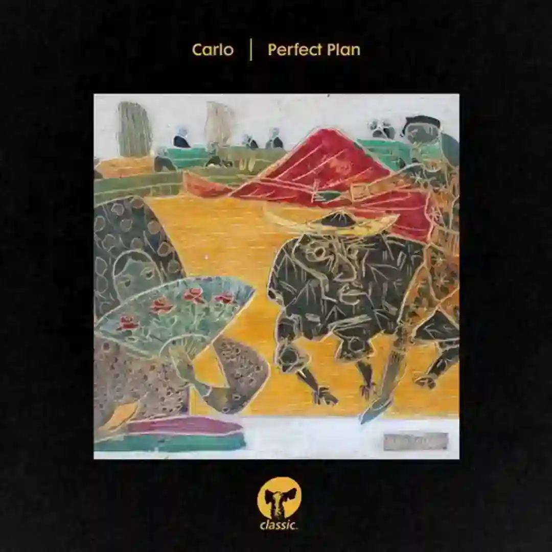 Perfect Plan - Extended Mix cover