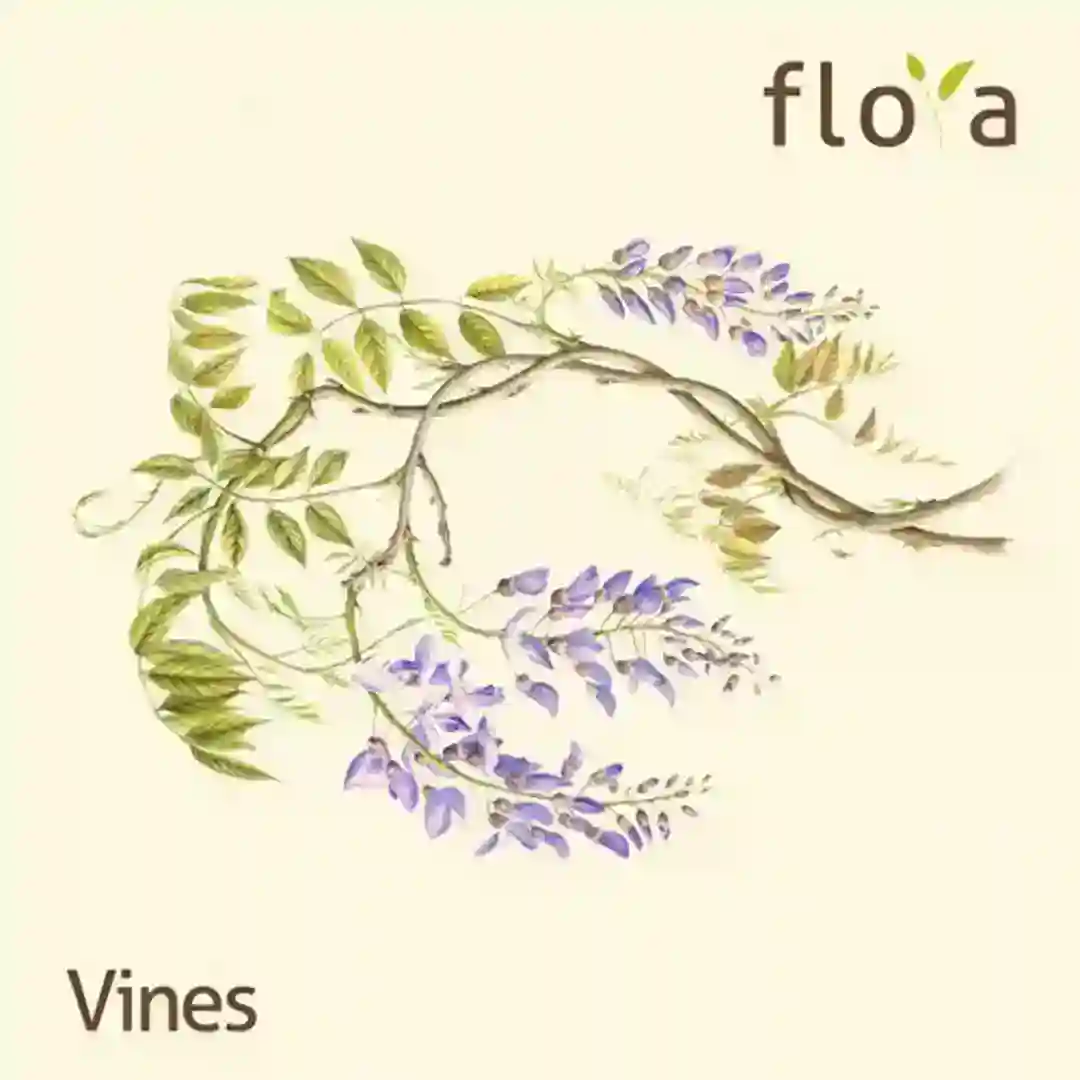 Farsha (Original Mix) cover