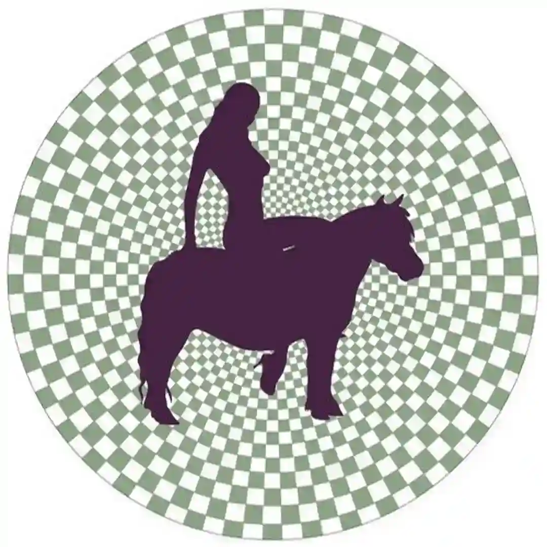 Matinee cover