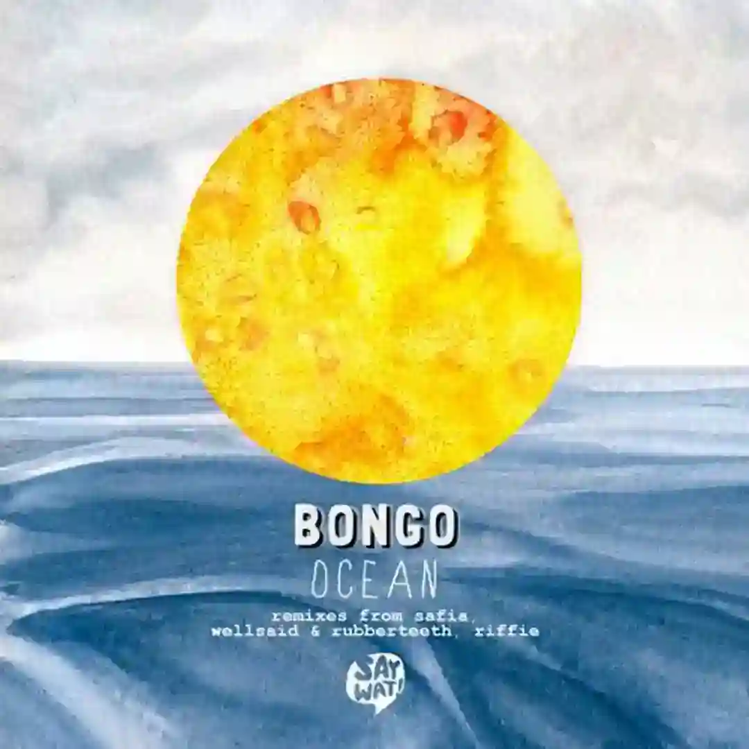 Ocean (Wellsaid, Rubberteeth Remix) cover