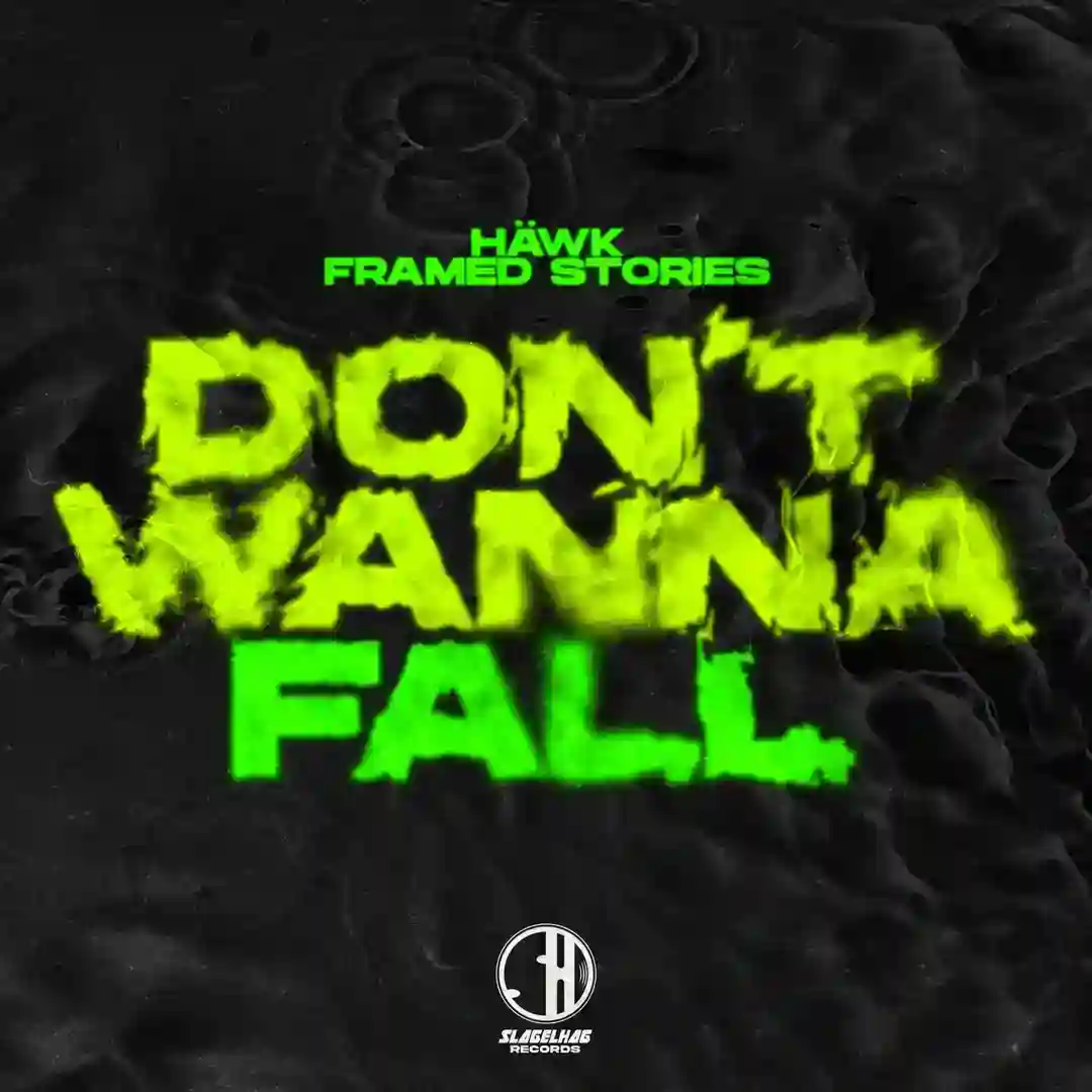 Don't Wanna Fall (Extended Mix) cover