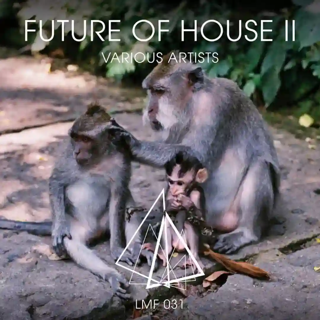 Dadance (Original Mix) cover